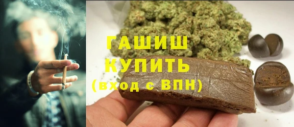 гидра Абаза