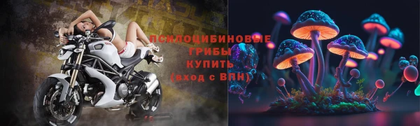 гидра Абаза
