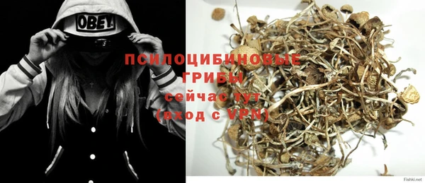 тгк Абинск