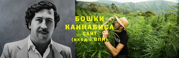 гидра Абаза