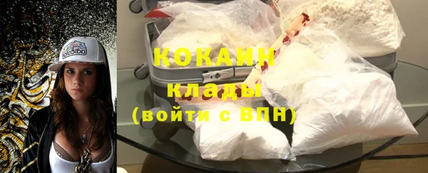 гидра Абаза