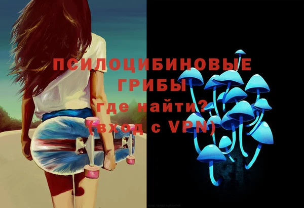 гидра Абаза