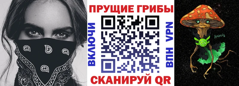 ссылка на мегу сайт Рыльск Галлюциногенные грибы GOLDEN TEACHER